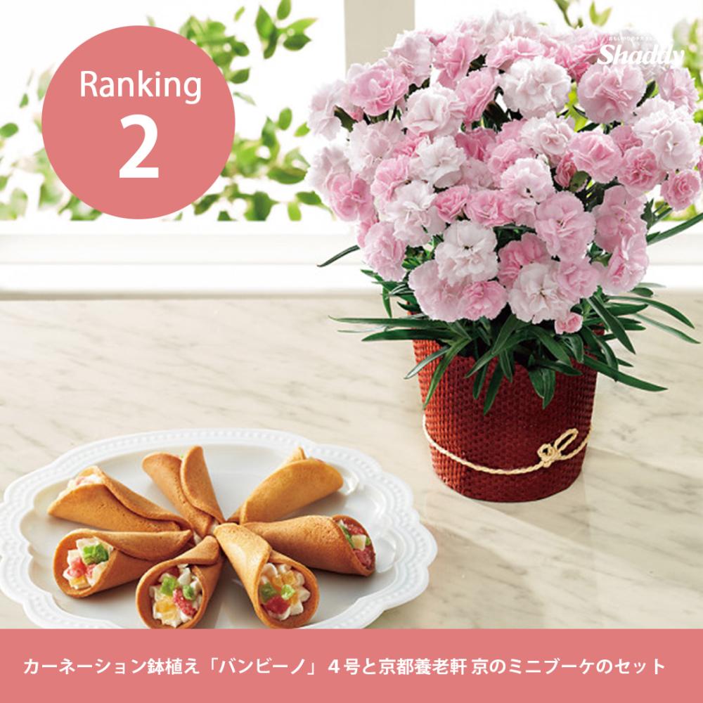 2位：カーネーション鉢植え「バンビーノ」４号と京都養老軒　京のミニブーケのセット