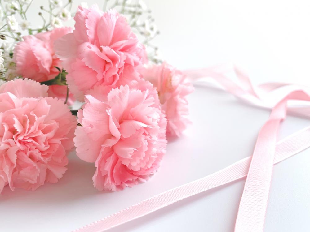 ピンク色のカーネーションの花言葉：「温かい心」「美しい仕草」「感謝」「上品・気品」「女性の愛」