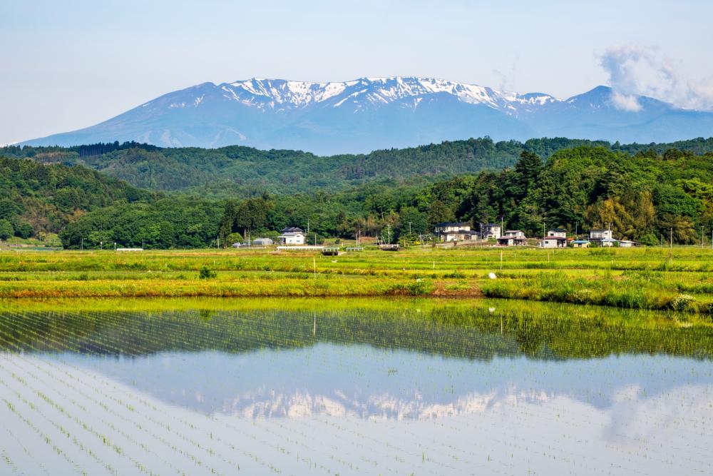 水無月の名前の由来と、食べる地域・時期の違いとは？