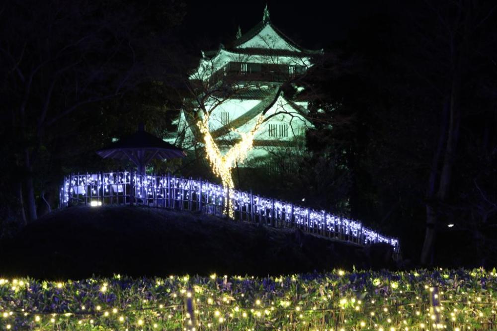 1. 岡崎イエヤスコウイルミネーション（岡崎公園）