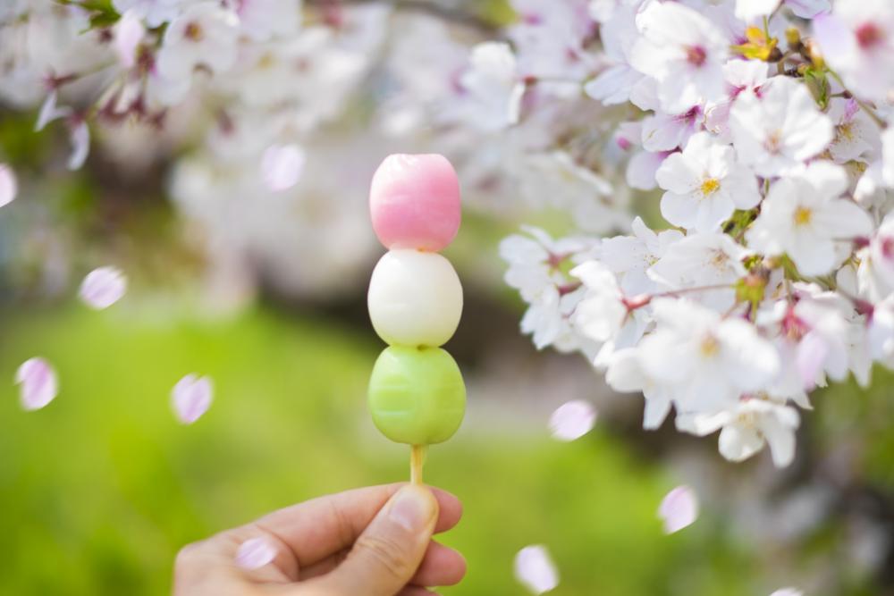 岡崎桜まつりの出店と屋台は何がある？営業時間・滞在時間・家族連れの楽しみ方まで解説