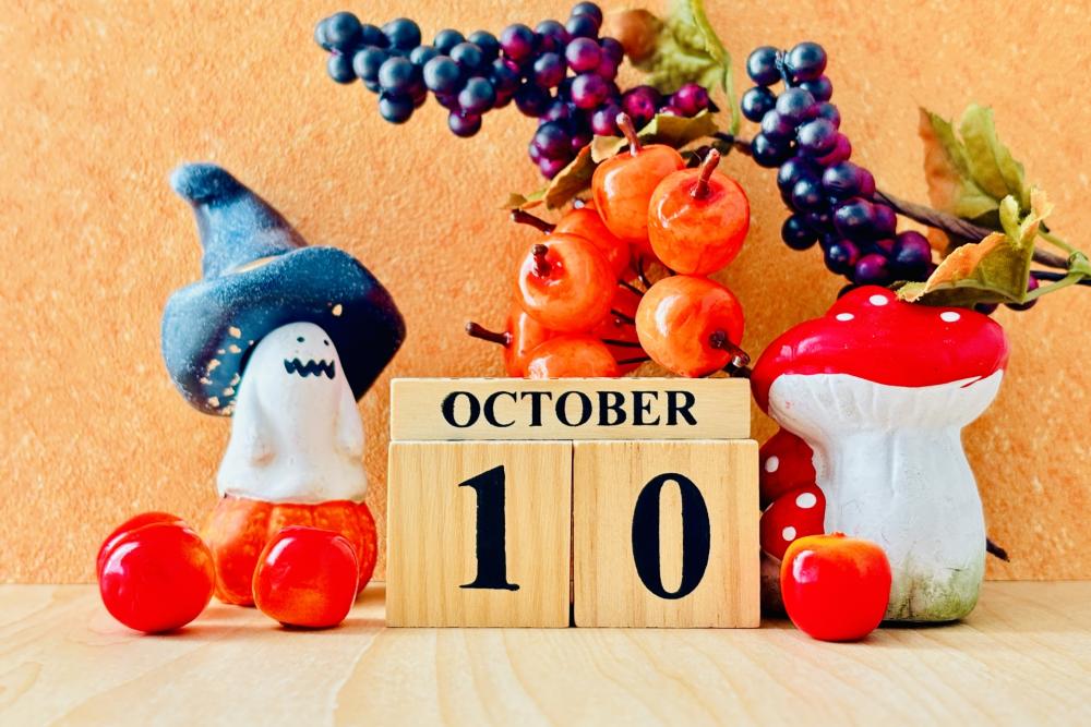 開催日はいつ?ソウルフードジャム岡崎2025秋も開催決定!