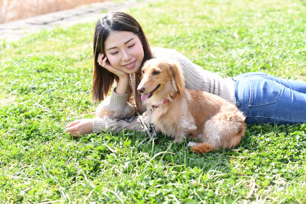 犬との休日をもっと特別に。岡崎「犬市場」でわんダフルな1日を！