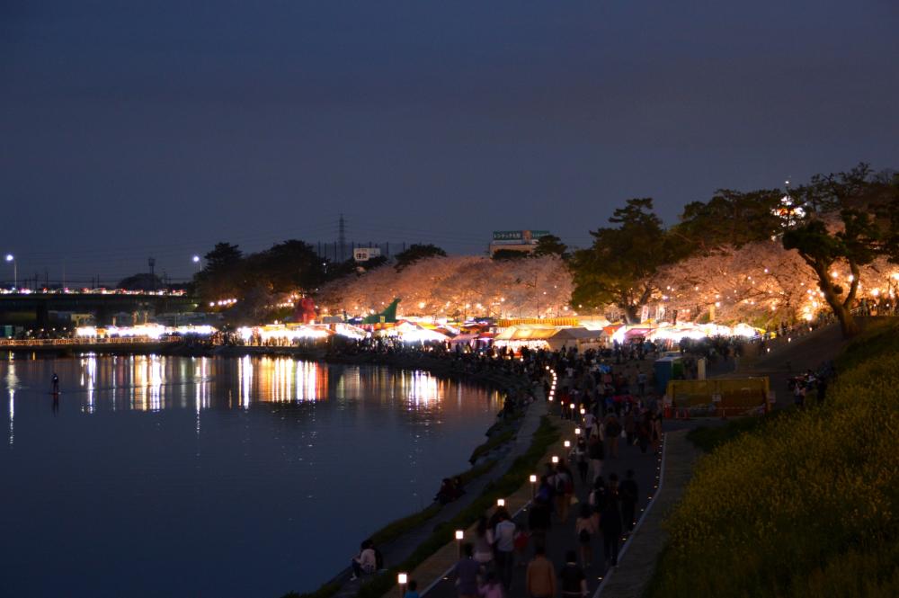 川辺の灯りに癒やされる夜。乙川ナイトマーケットの雰囲気を体感！