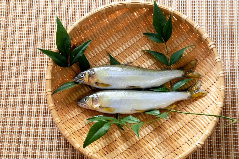 若鮎とは？夏に人気の定番和菓子｜どんな味？どんな見た目？