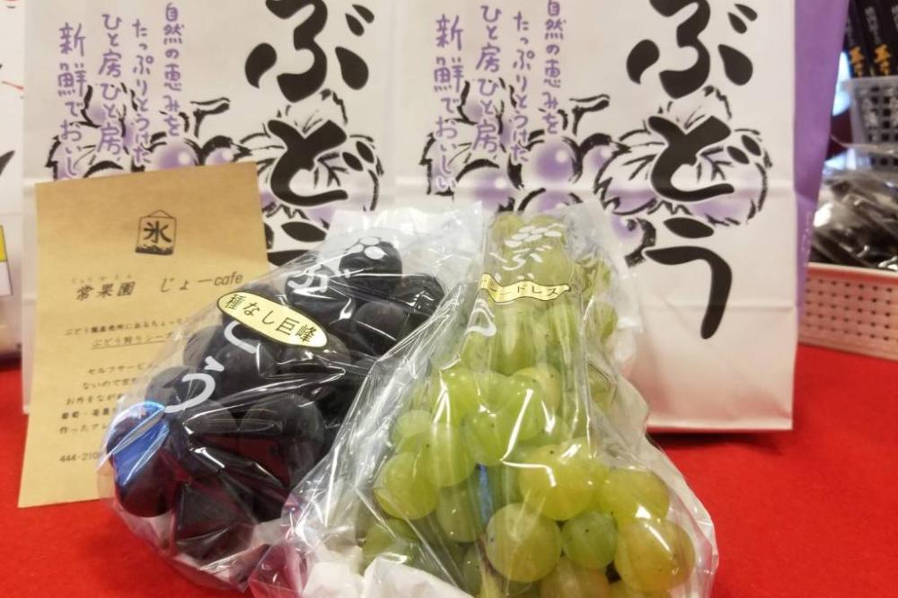 ＜観覧・体験イベント・販売コーナー＞