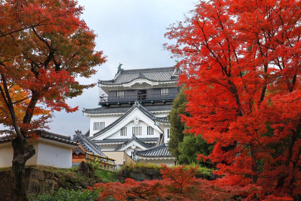 ◆講演について