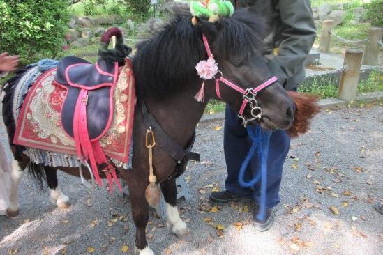 【イベント】1/2～5『ポニー乗馬体験』