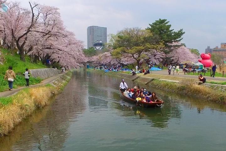 岡崎城下舟遊びオフィシャルサイトからの情報【桜を見ながらの舟遊び】
