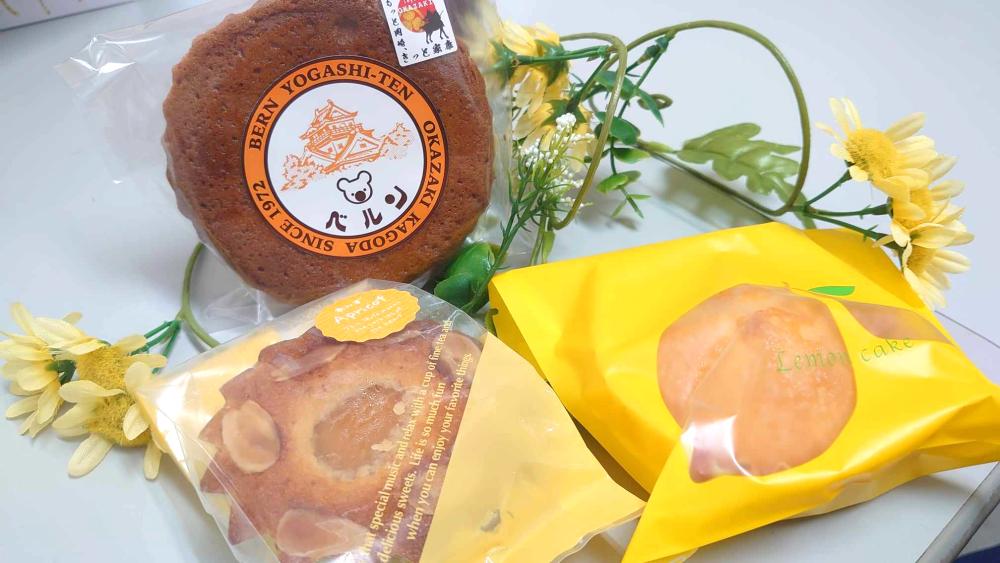 ⑦ケーキ屋さんのテイクアウトスイーツで甘い青空カフェ「ベルン洋菓子店」